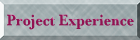 Project Experience